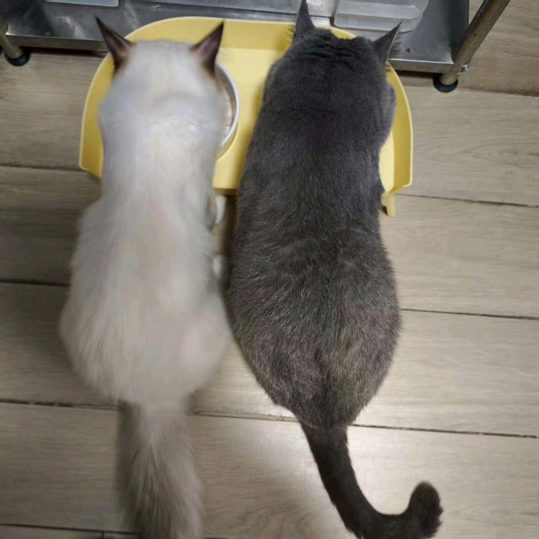 恬恬【拒私聊】