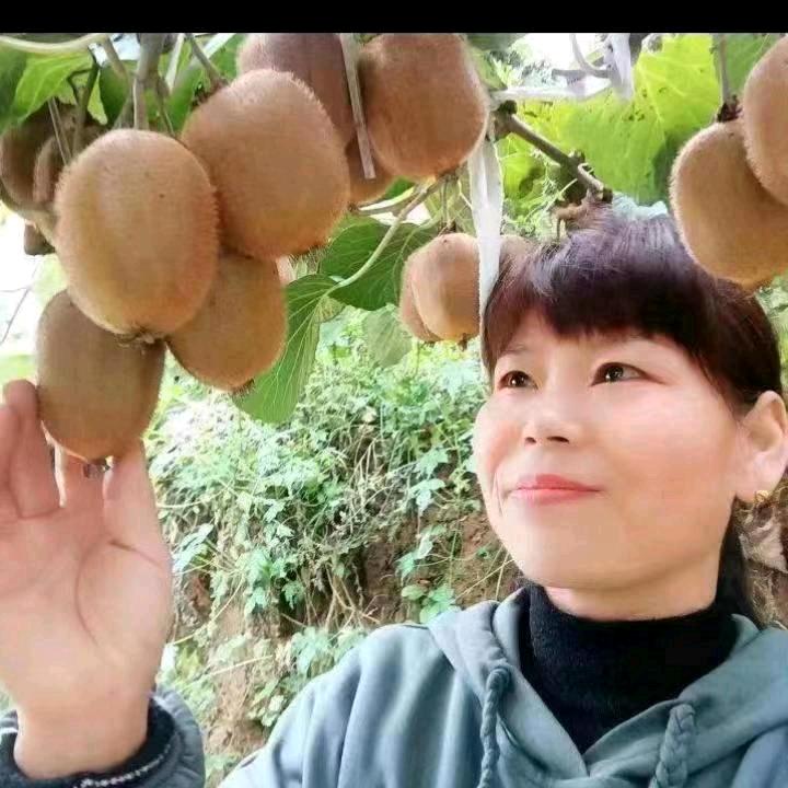 吴姐果品店