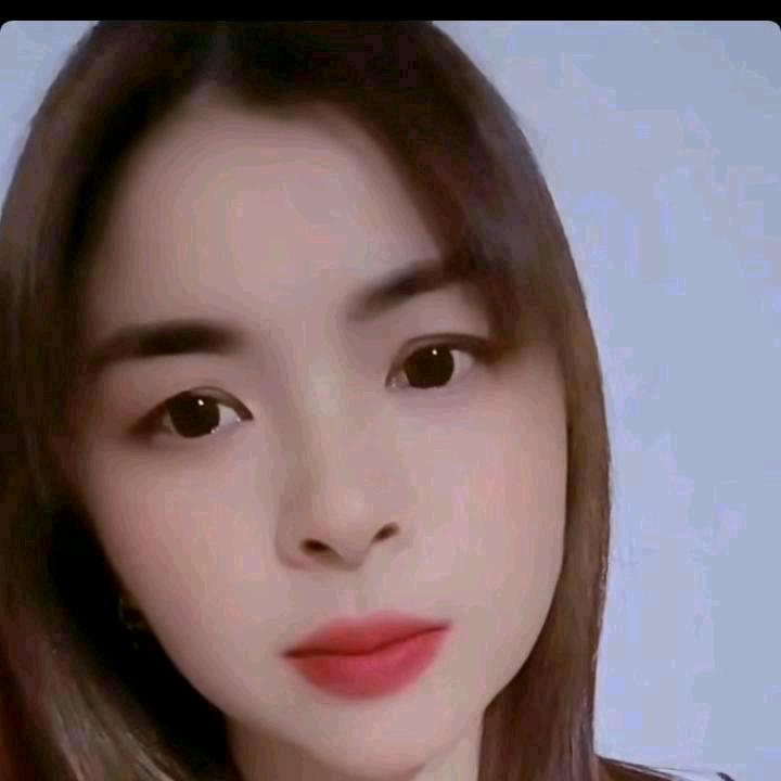春花秋月