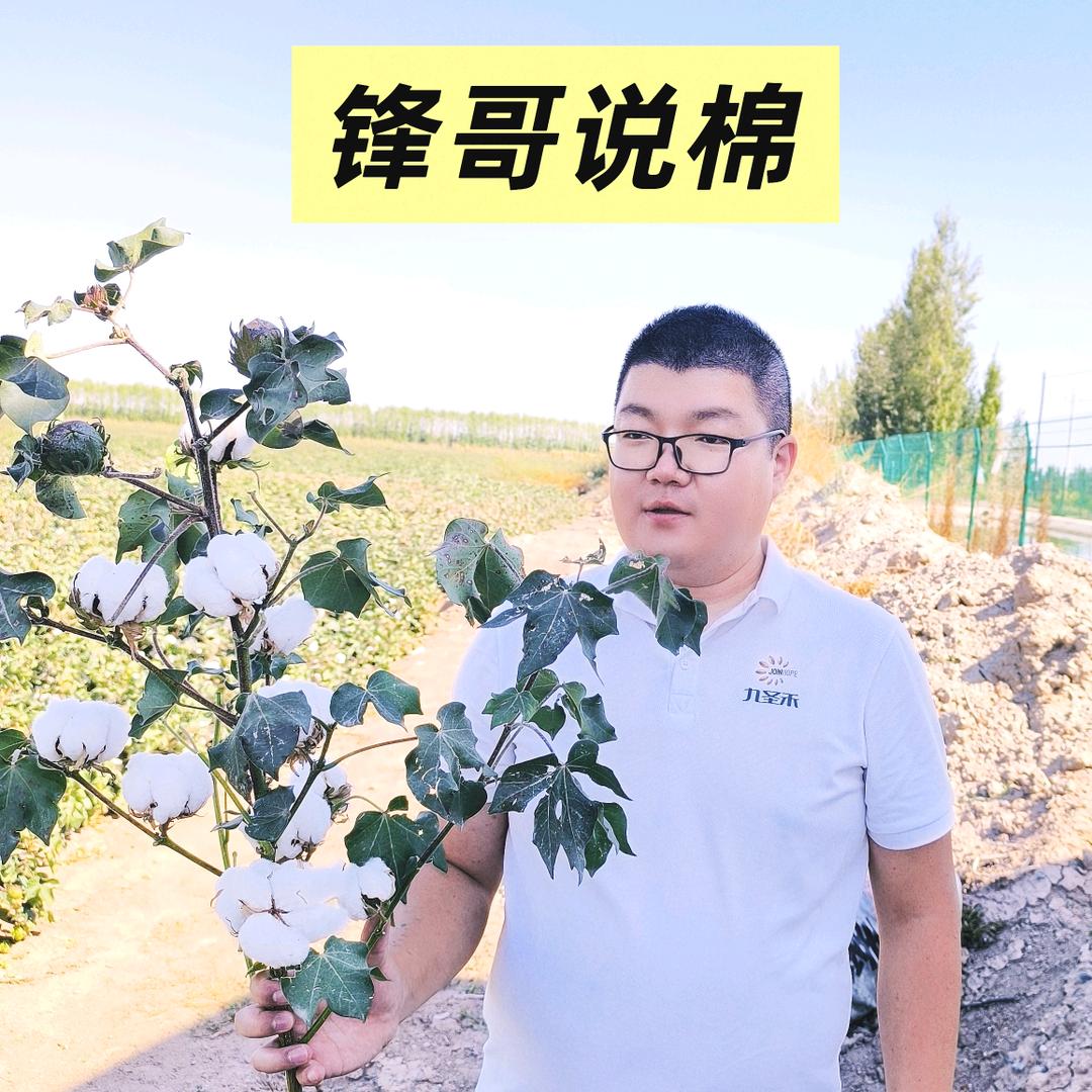 锋哥说棉-九中禾