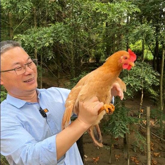 杨博士生态农场甄选