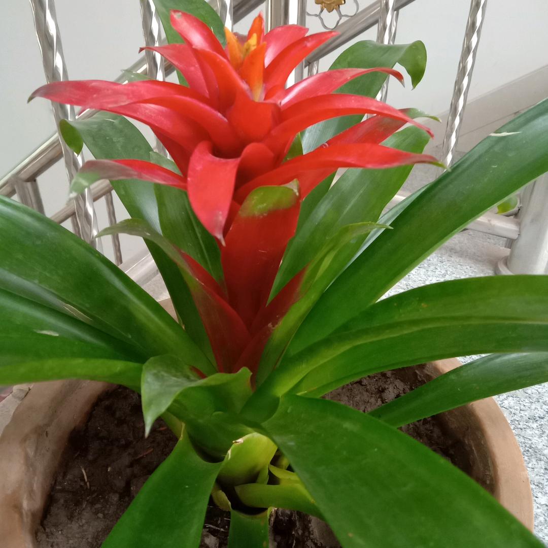 夏天