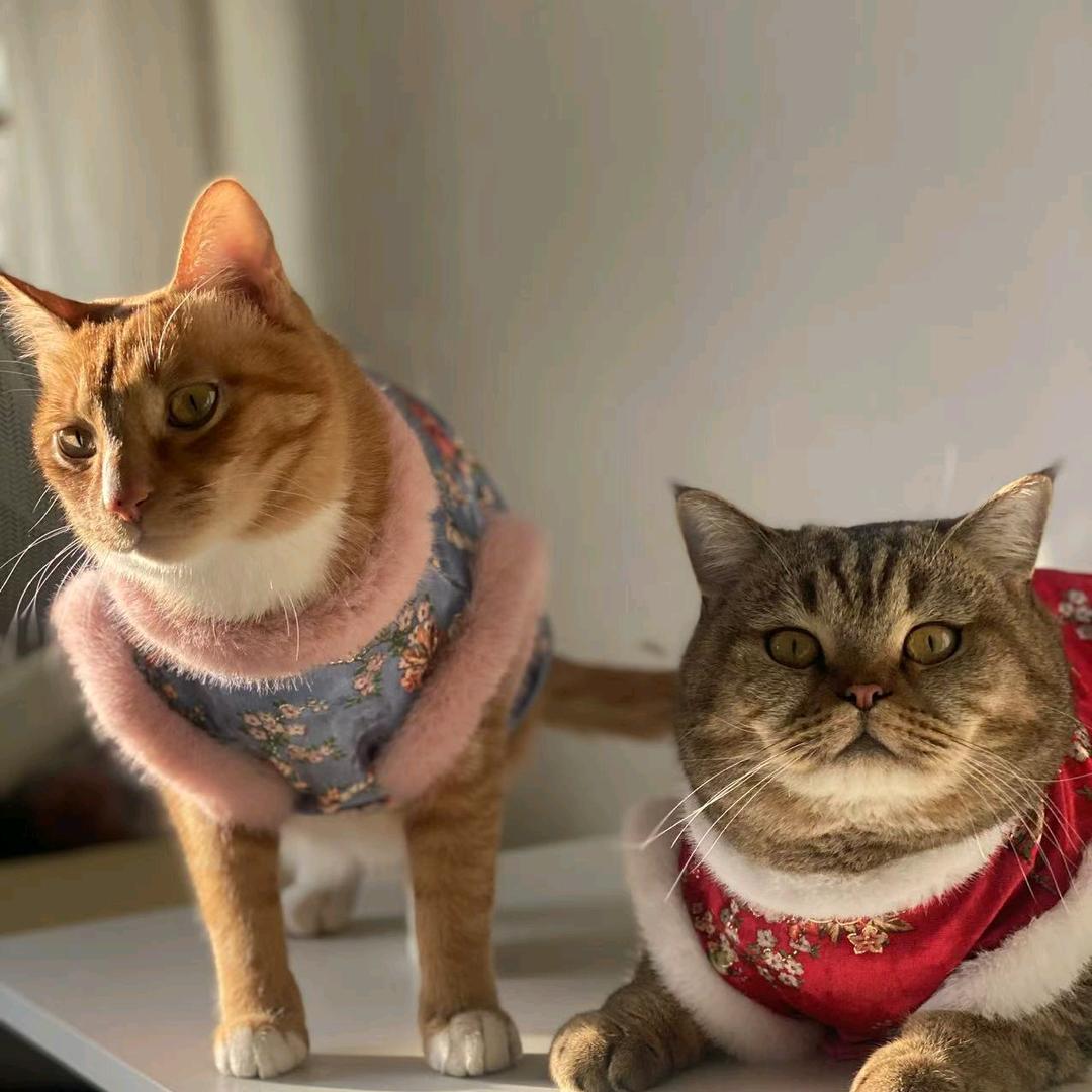 。。