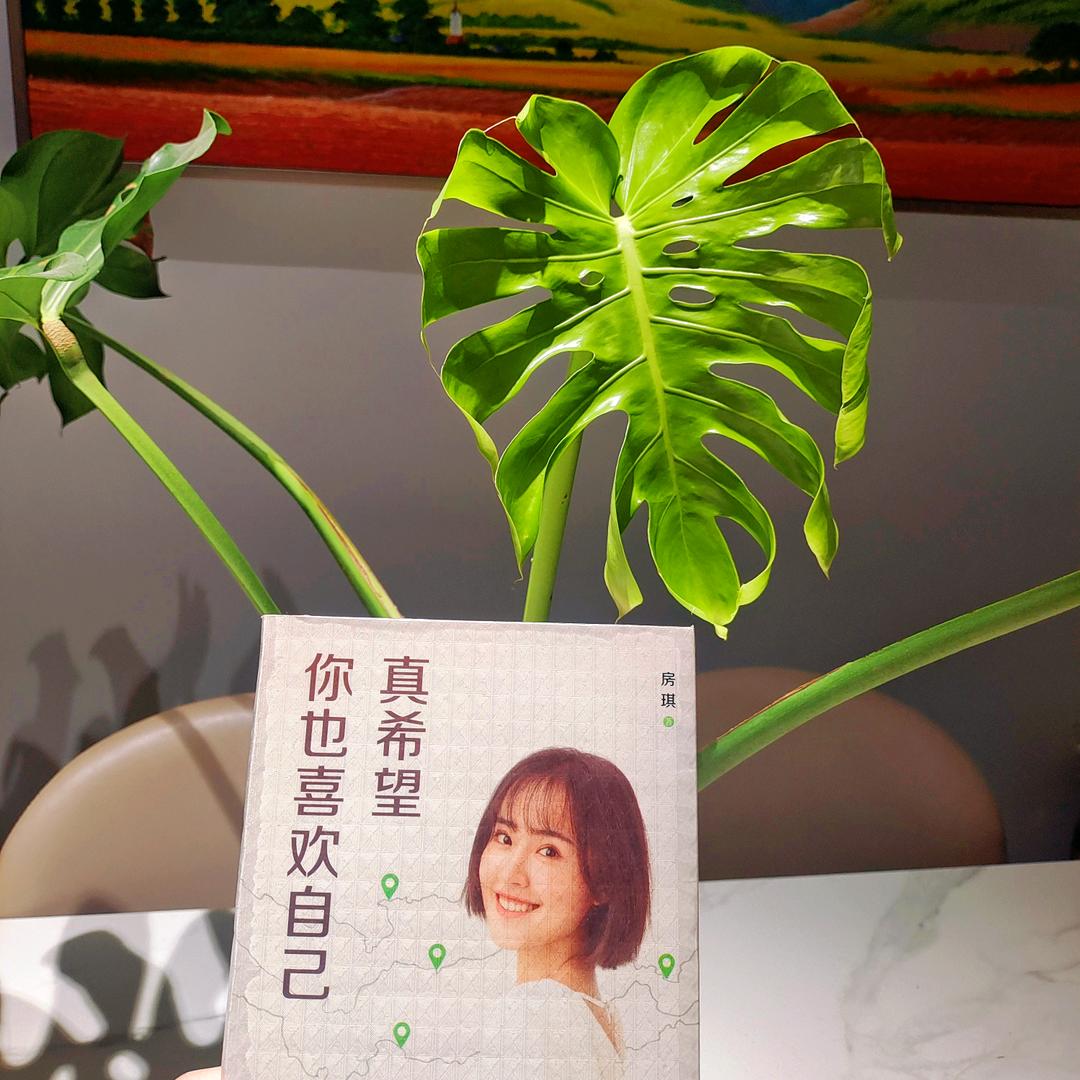 小王推荐工作