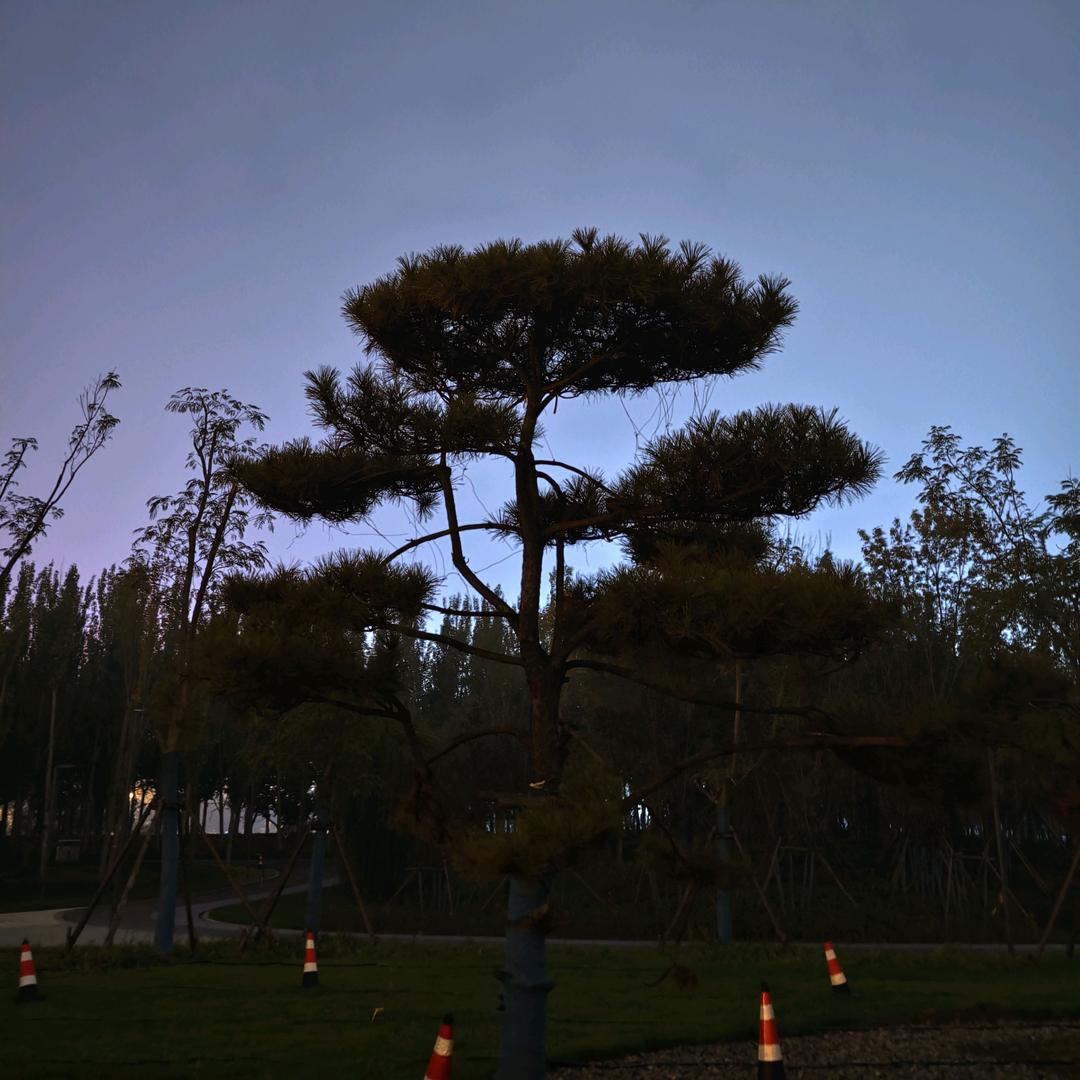 ꧔ꦿ我以善良镇百恶ꕥ