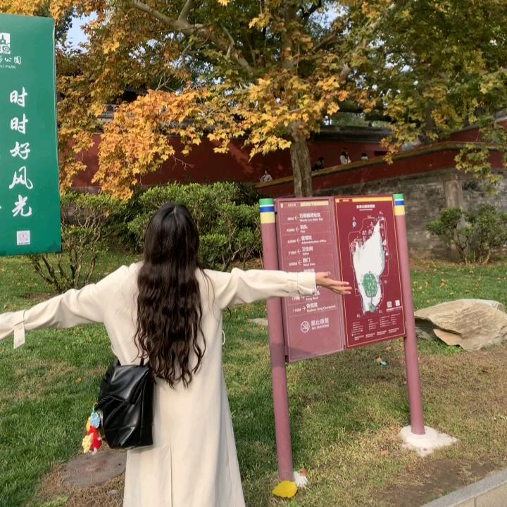 不掉头发