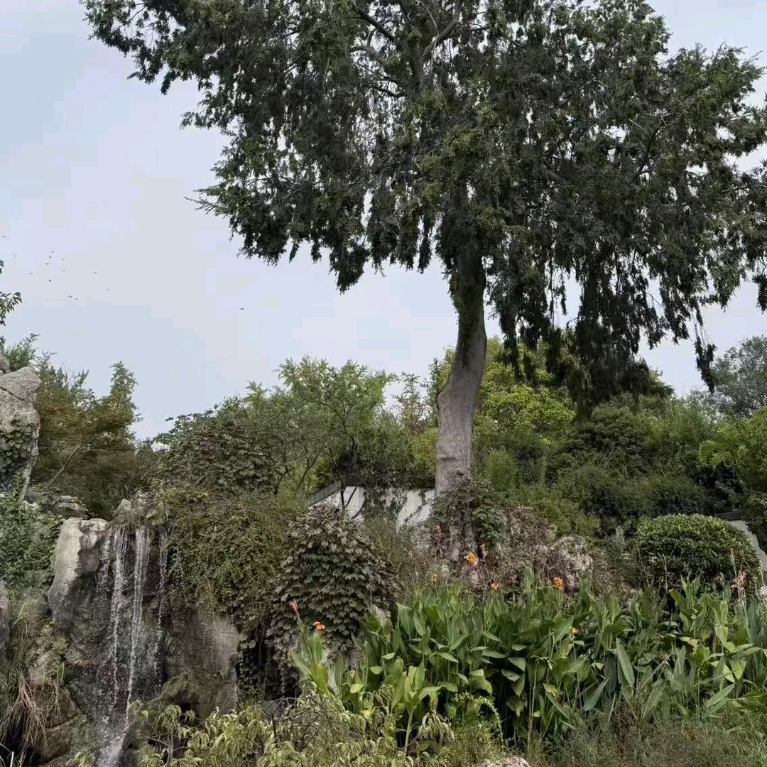 ∞阳光🌺少年☆