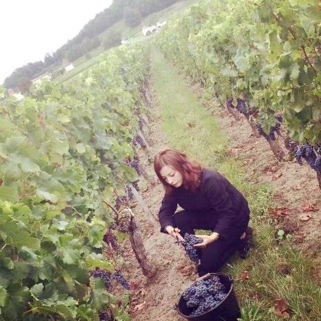 🈷️下🈶薇光