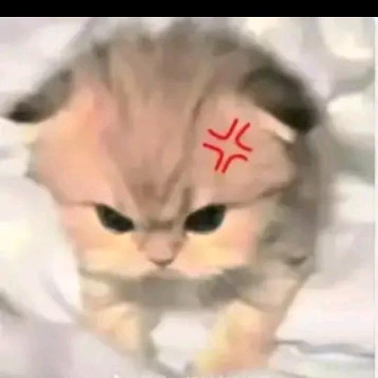 烟雾缭绕