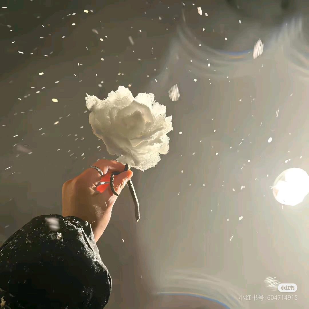 大雪呀～