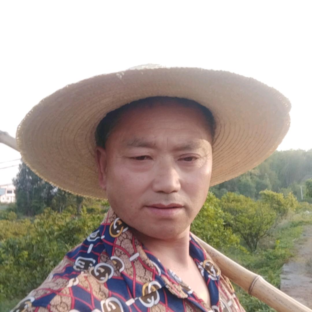 农村云哥