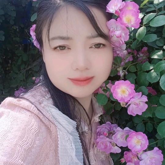 燕子菲(逐梦)
