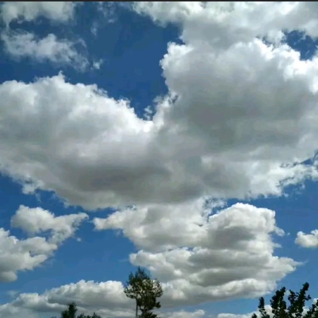 远漂的雲