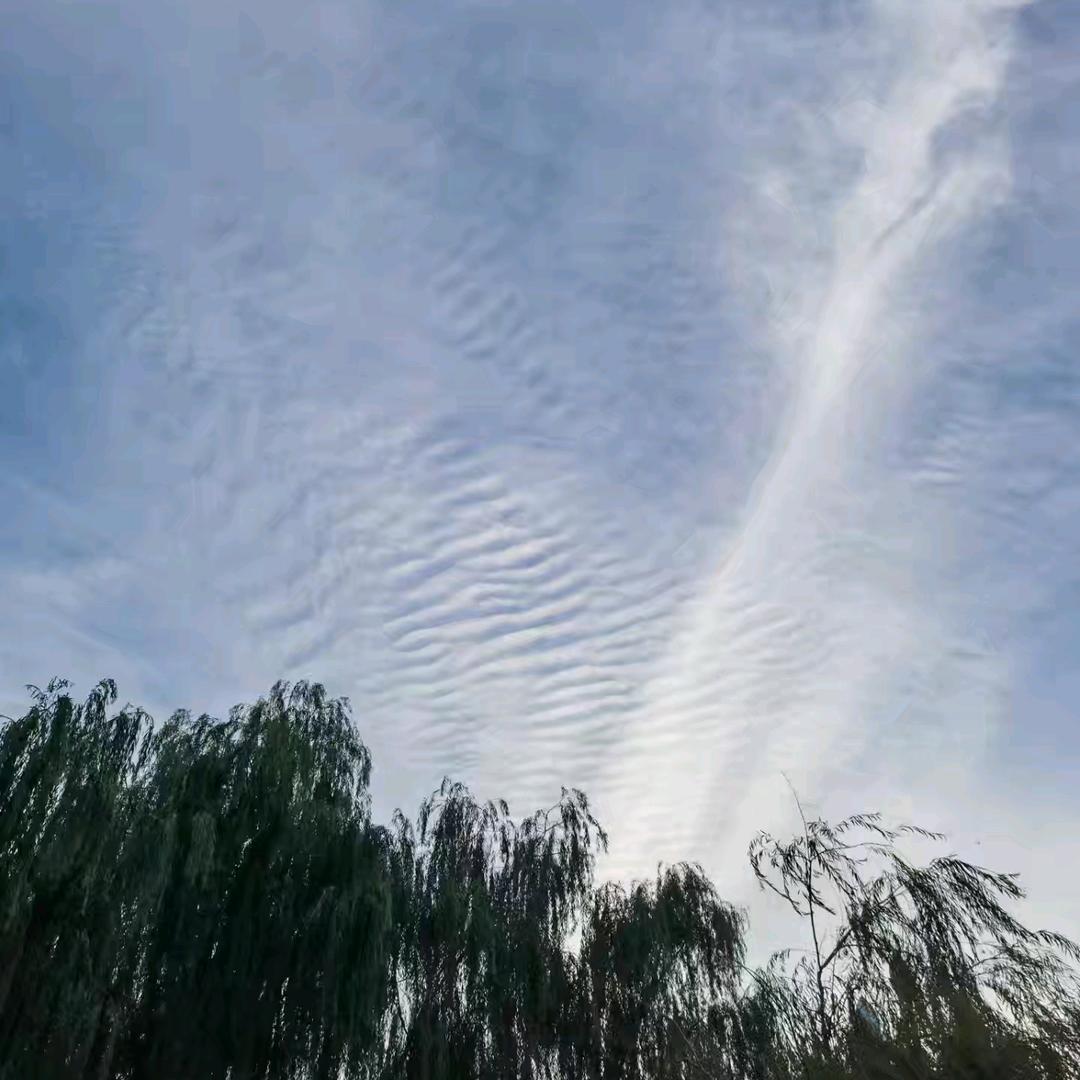 大夏地动导师