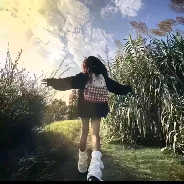 晚魚(冲450❗️)