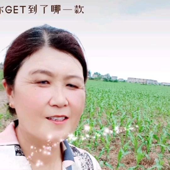 雨下听风
