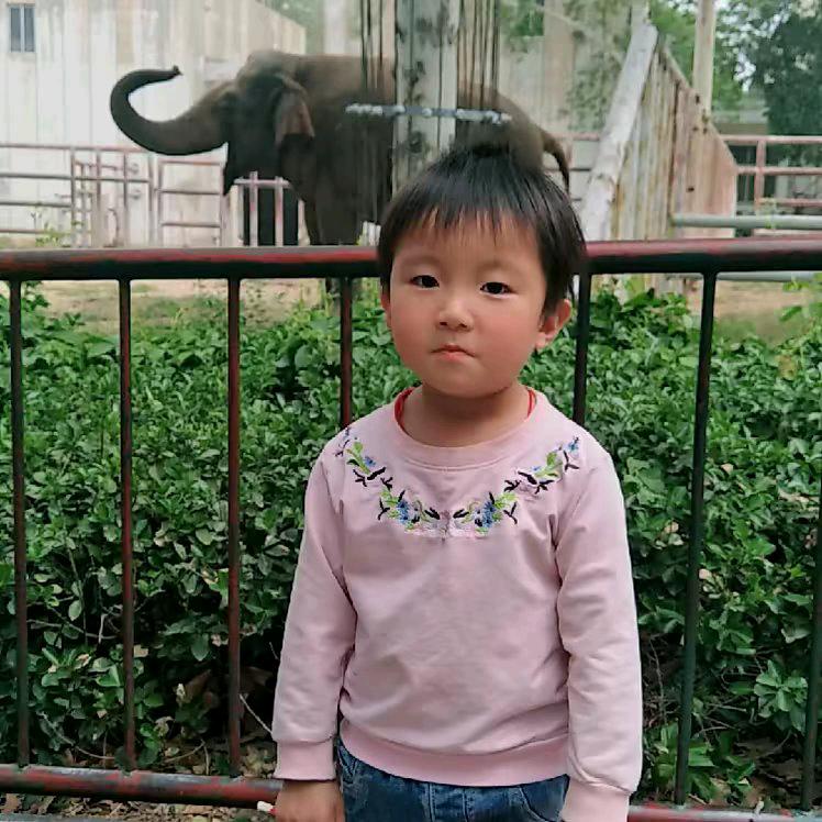 田哥又来了卖橘子