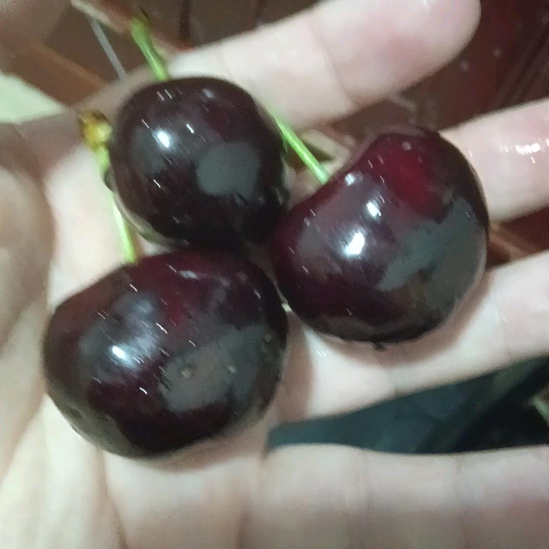 别惹我，姐姐很拽
