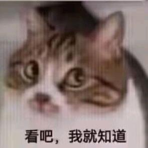 小鼠鼠上大分