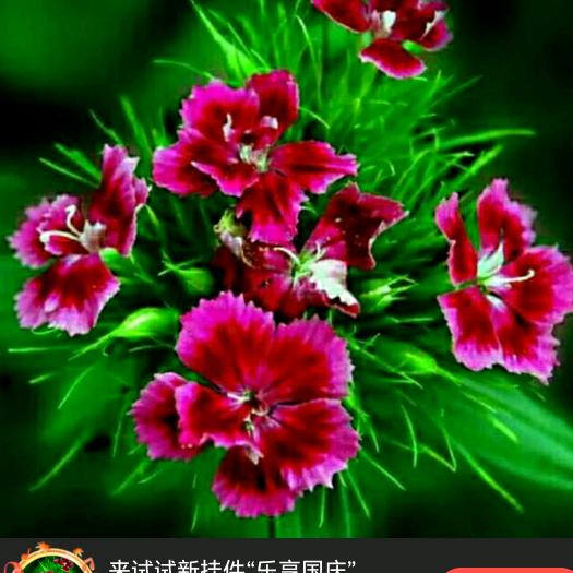 罗小艳🌹🌹🍏🍏666666