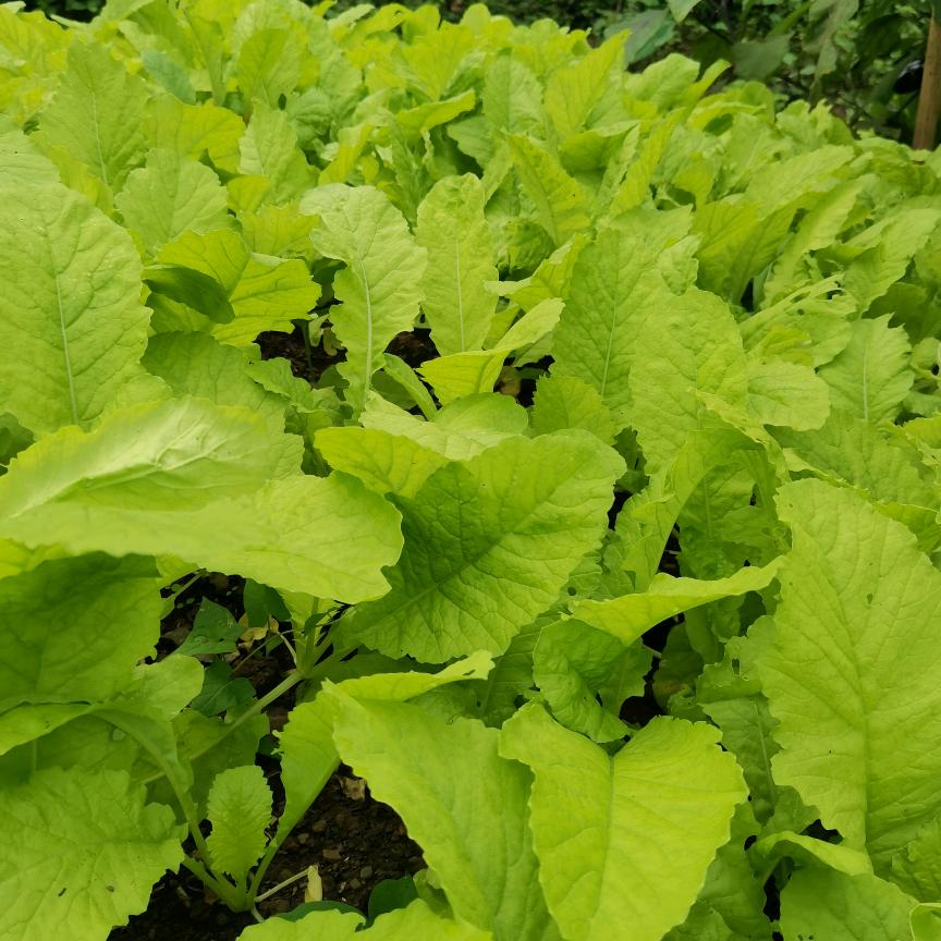 以后的以后……