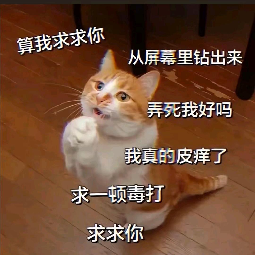 两茫茫