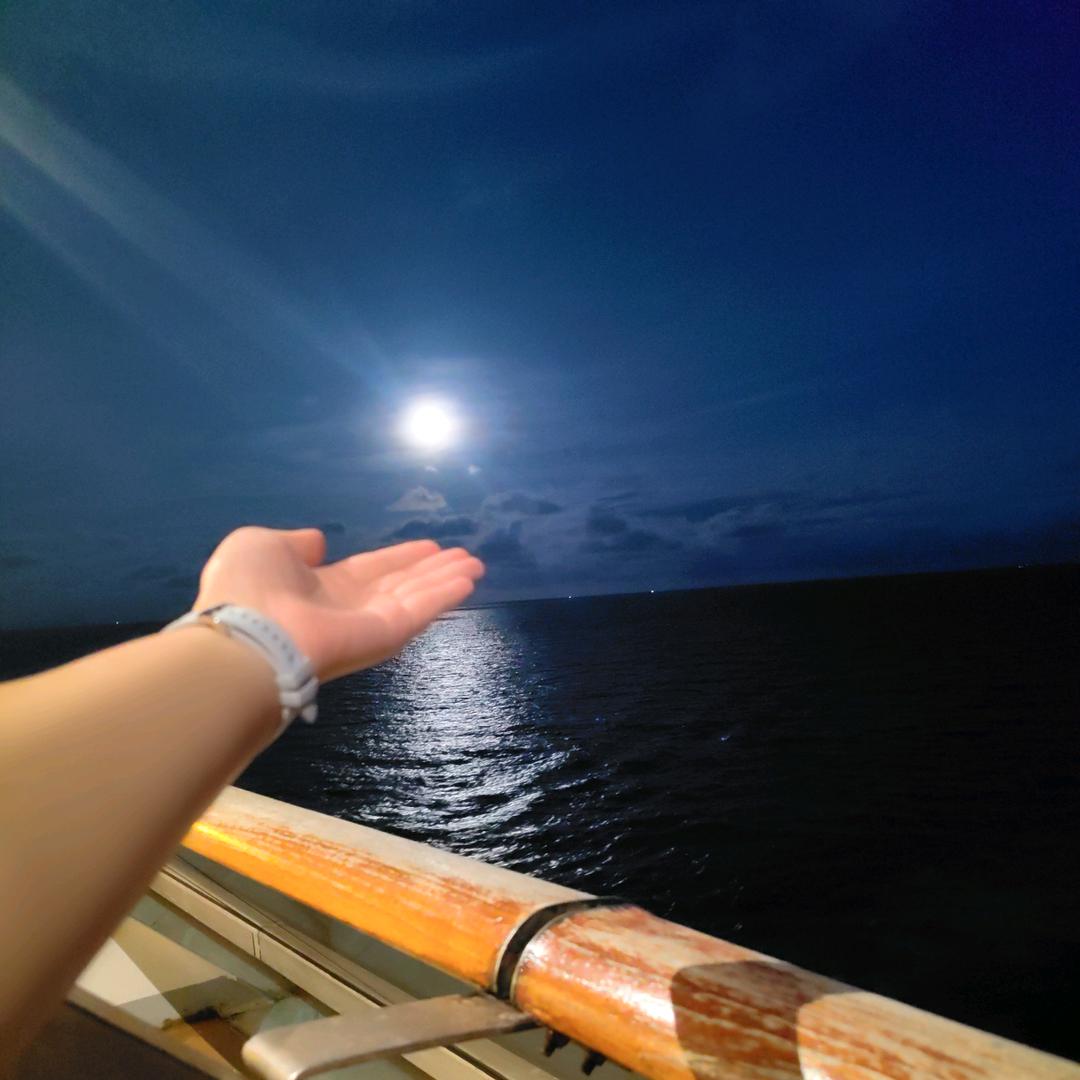 《芳草》幸福美满