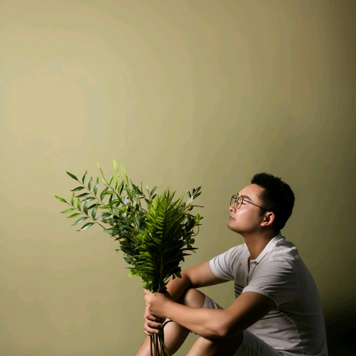 zanyw