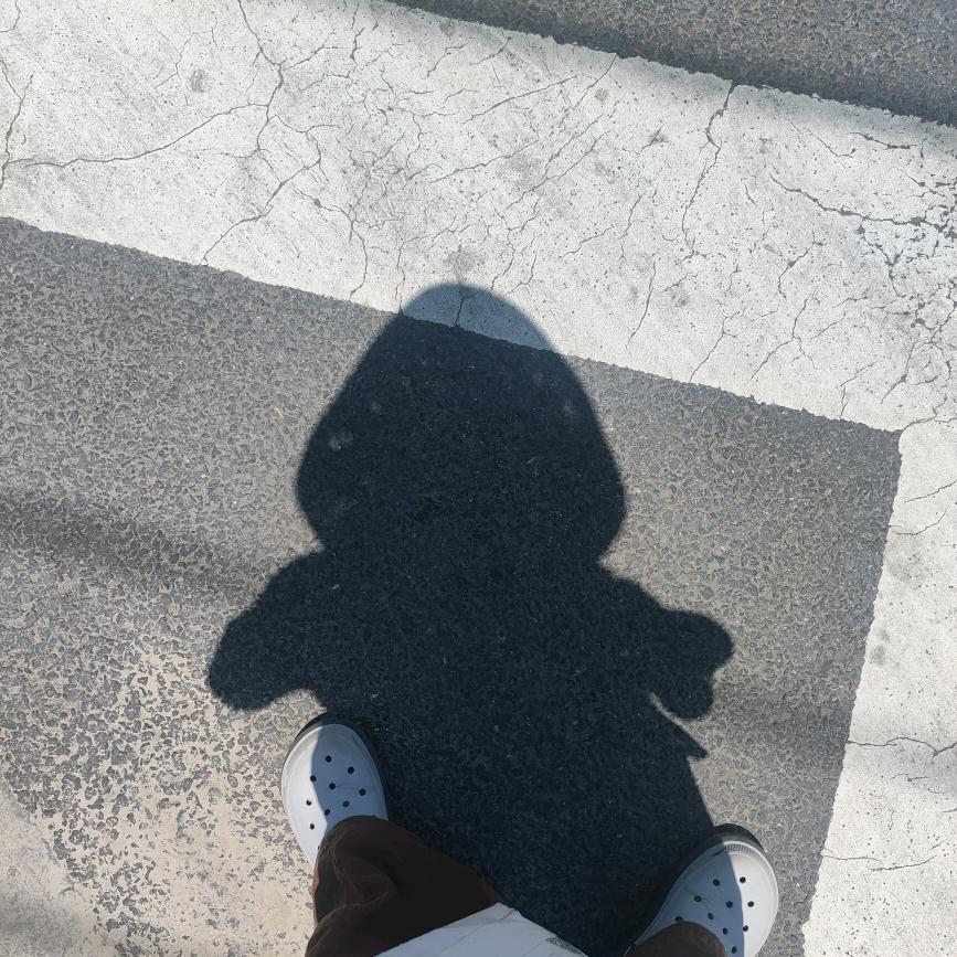 ✨爱钓鱼的圆宝爹✨