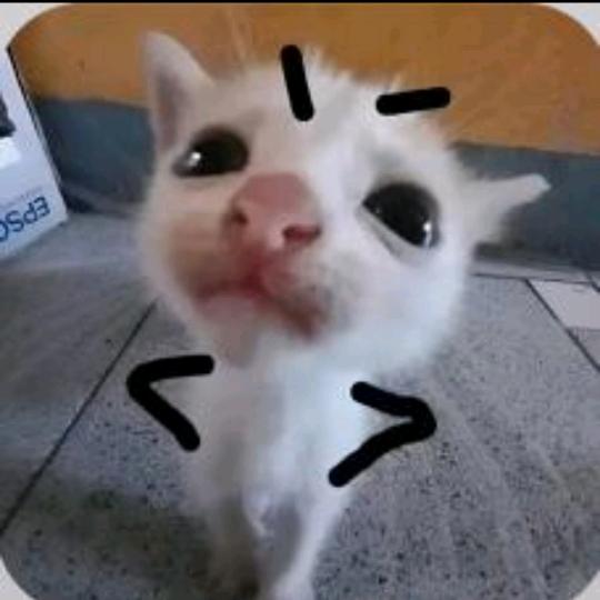 普信的普信女