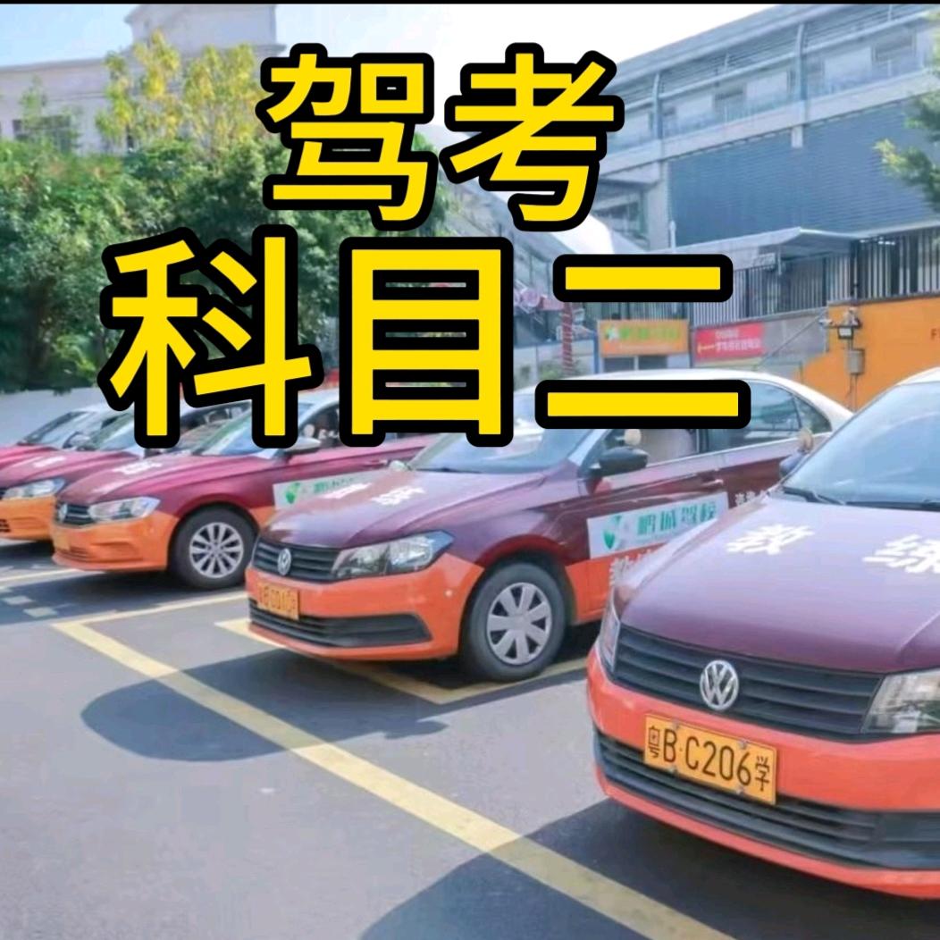 深圳科目二邓教练(考场模拟)