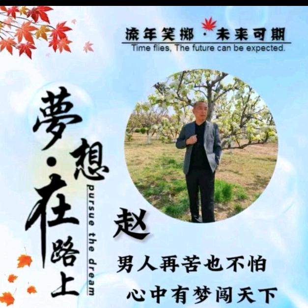 🍃吉星高趙🍁