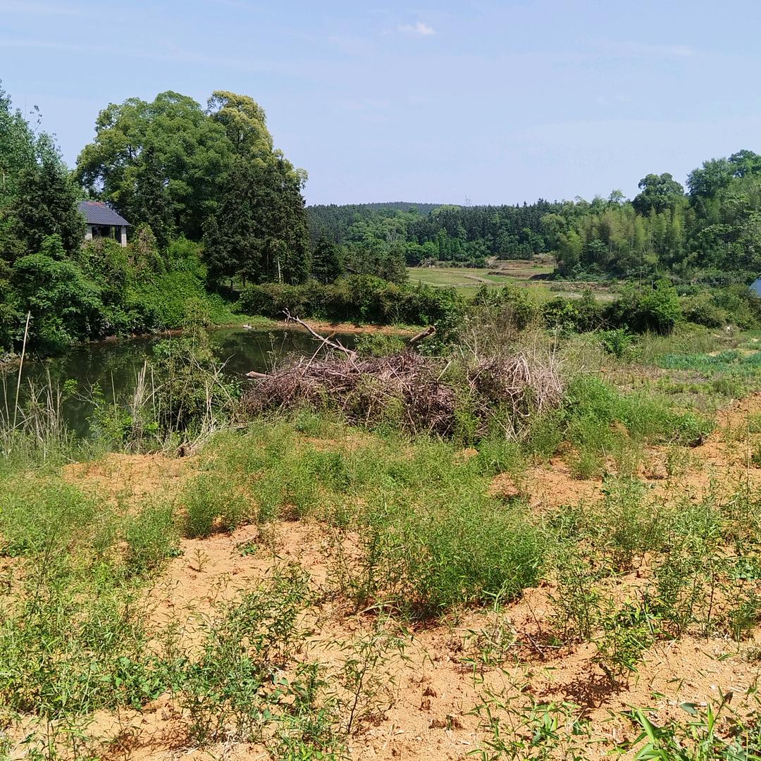 匆匆过客，欢喜就好