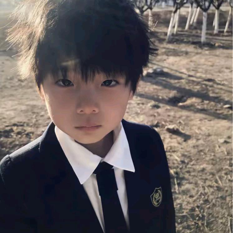 开飞机的舒克🚀