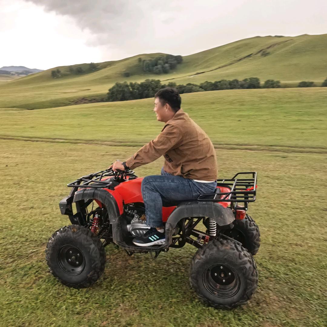 @凌鹰排球俱乐部