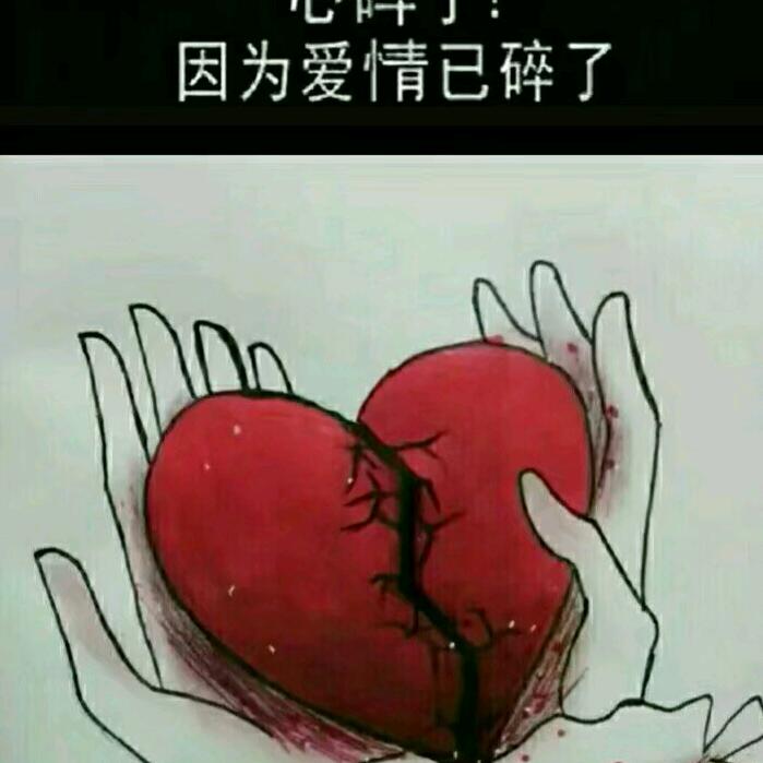 27711663069