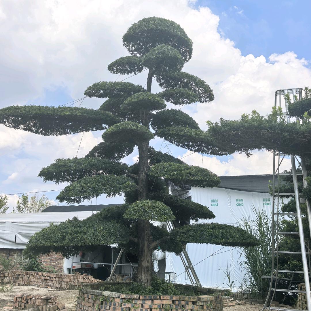 东和园林宋首颐