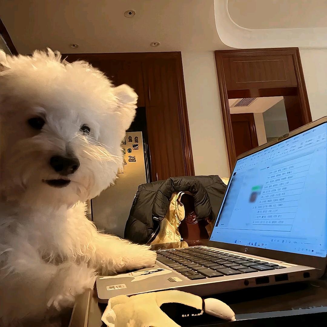 歪不歪