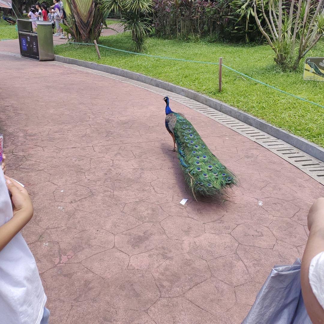 向前看