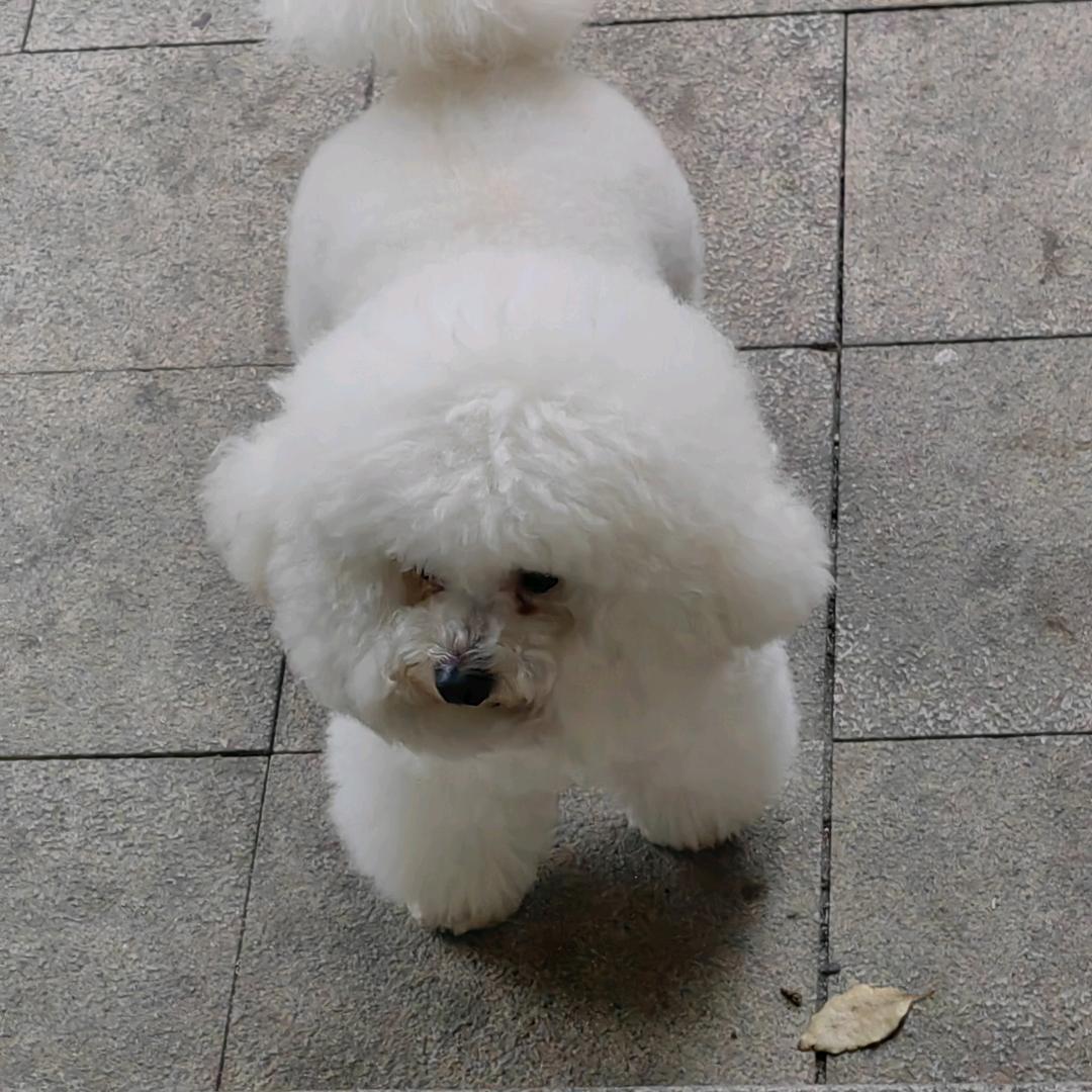 风 向 决 定 发 型