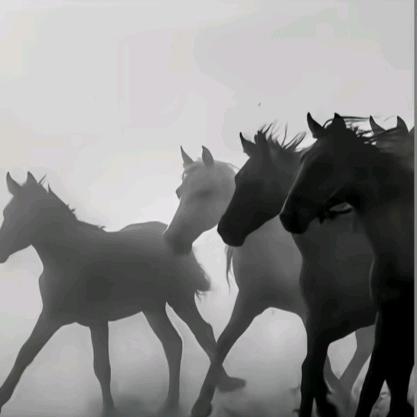 点背不能怨社会