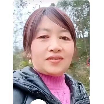 开心果（下午4点开播）