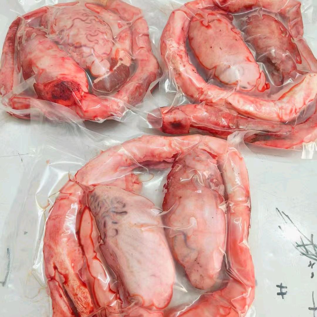 牛肉一手货源（全国可寄）