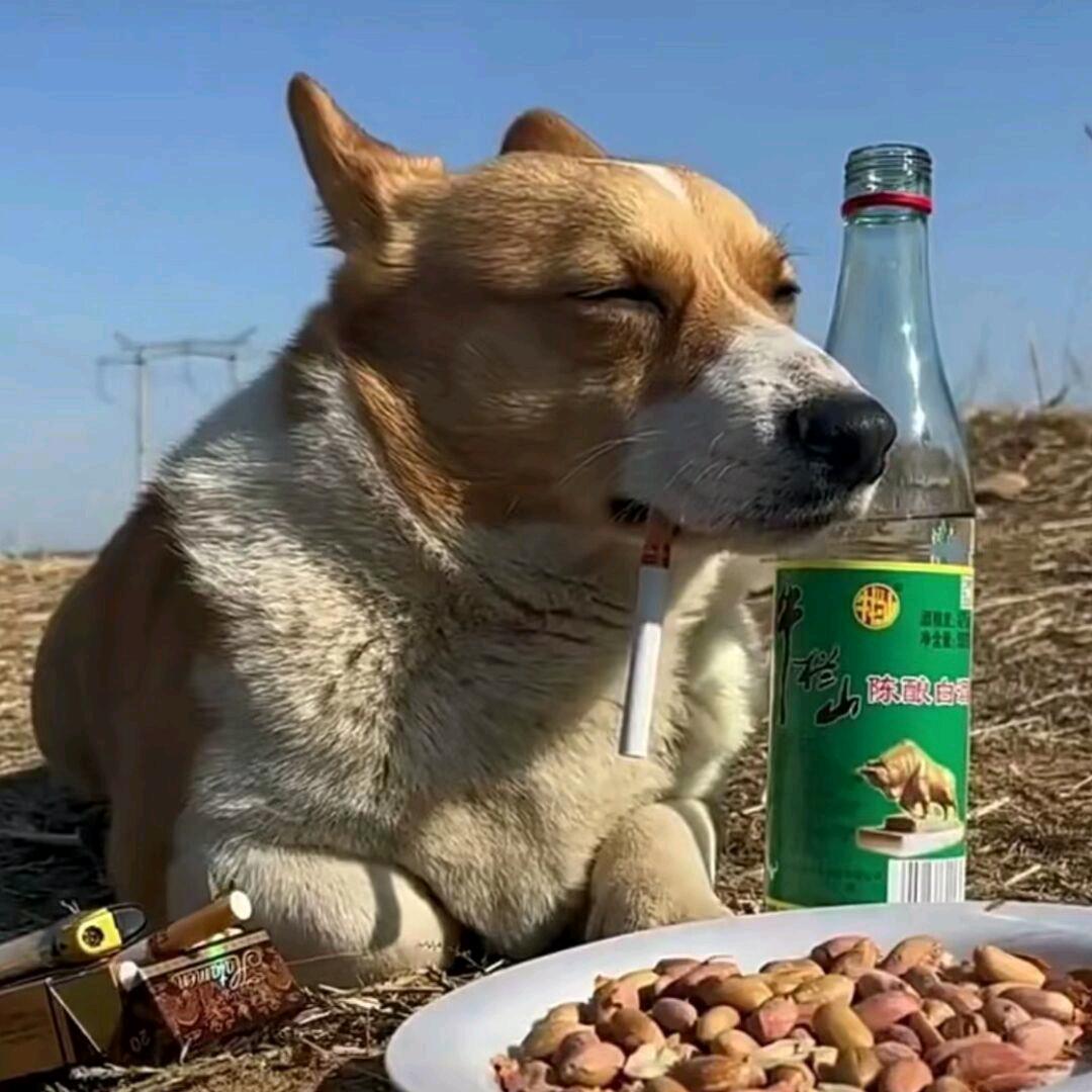 抽烟喝酒的大叔