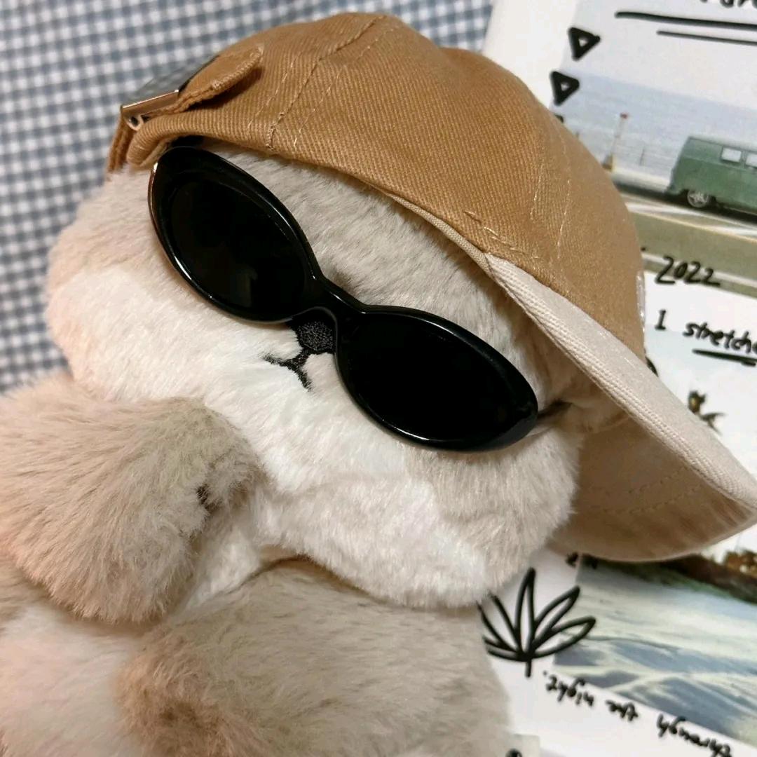 盖总