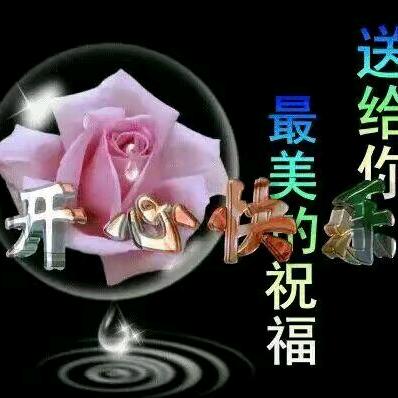 冬日暖阳