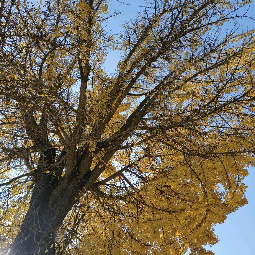 睡眠不🍂族