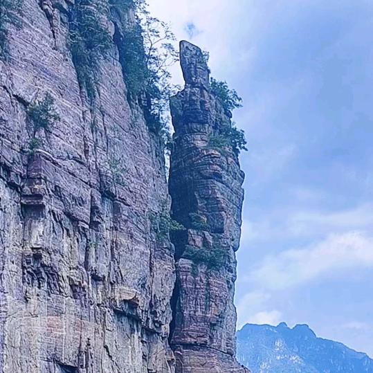 大才酒(心之力)