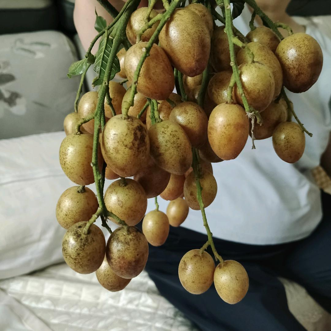 暖冬