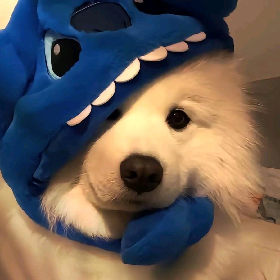 随风走